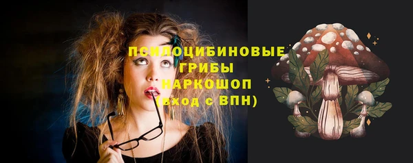 хмурый Аркадак