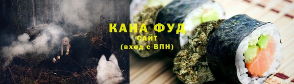 хмурый Аркадак