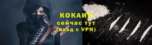хмурый Аркадак