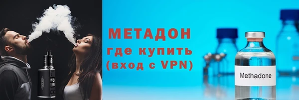 хмурый Аркадак