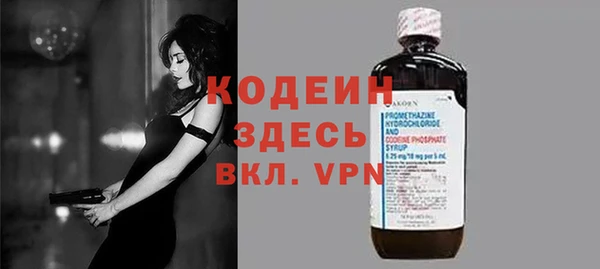 хмурый Арсеньев