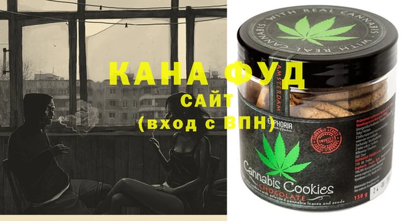 хмурый Аркадак