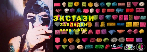 хмурый Аркадак