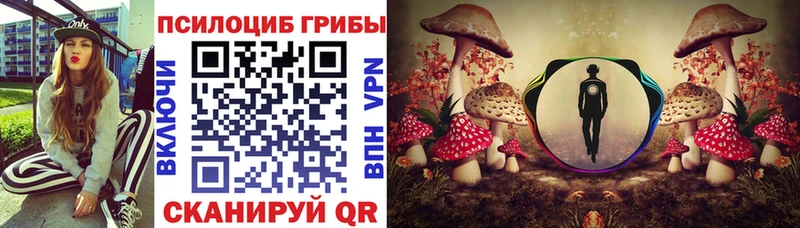 Псилоцибиновые грибы Psilocybe  Свободный 