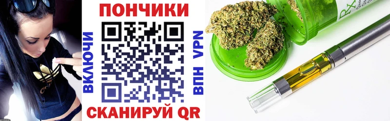 где купить наркотик  Свободный  Шишки марихуана сатива 
